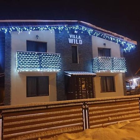 Villa Wild Petroşani Exteriér fotografie